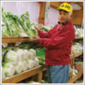 この様にHB-101で出来た野菜を出荷しています。