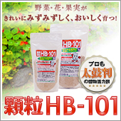 植物の土づくり、土壌改良に「顆粒HB-101」