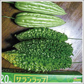 左の2種類のゴーヤーも右の胡瓜もHB-101のおかげで、味がとてもおいしいです。